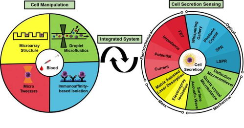 基于微流体系统的单细胞生物检测技术的发展与展望