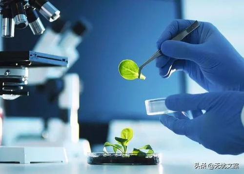 寒门学子逆袭指南 生物技术开发，硕士起薪1.5万的潜力专业