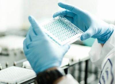 现代生物技术的双面镜 革新与谜团